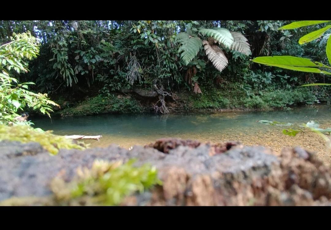 Ferienwohnung El Jardin Secreto De Alvita Puyo Exterior foto