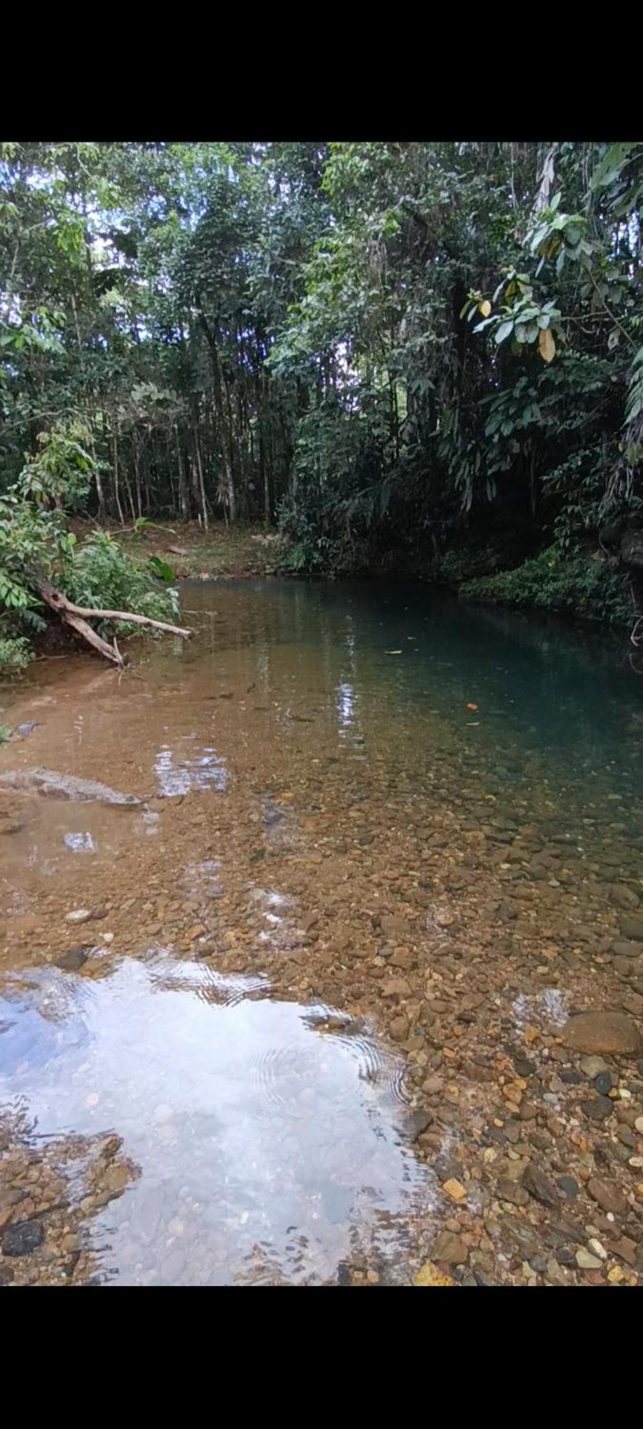 Ferienwohnung El Jardin Secreto De Alvita Puyo Exterior foto